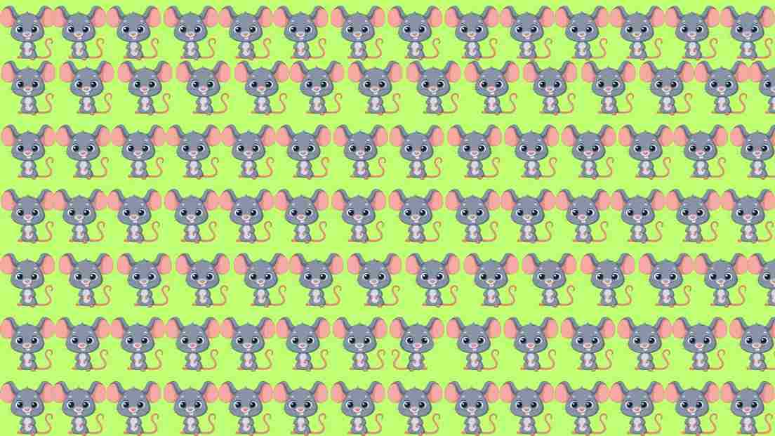 Find the odd one out!